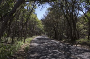 Chiricahua Bonita Canyon Drive