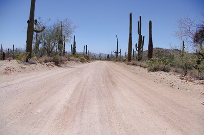 Strasse im Saguaro NP West
