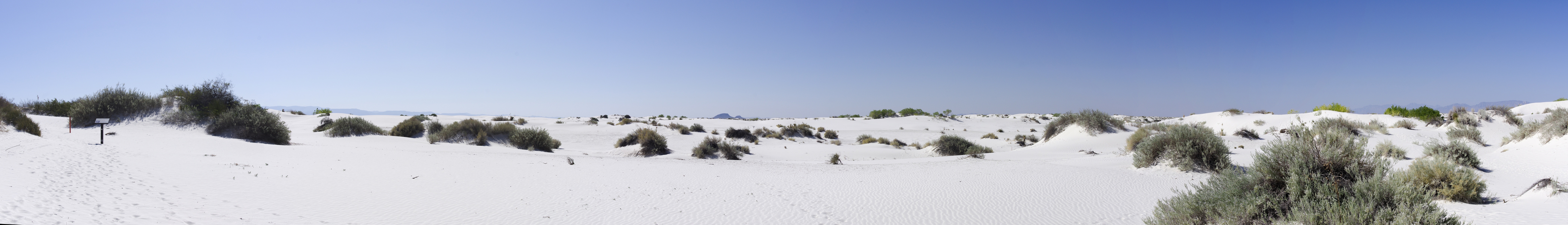 Dune Nature Life Trail