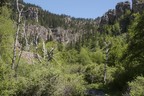 Spearfish Canyon