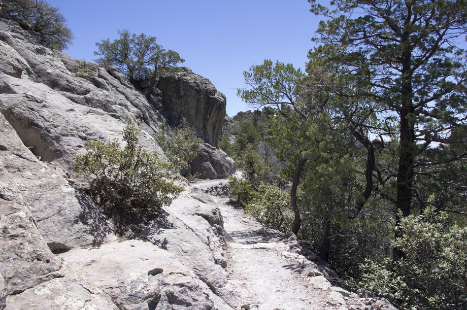 Chiricahua Echo Canyon Trail