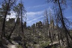 Chiricahua Echo Canyon Trail