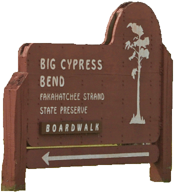 Big Cypress Bend Boardwalk